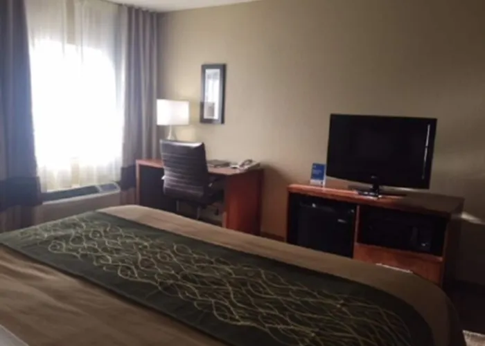 Comfort 3*