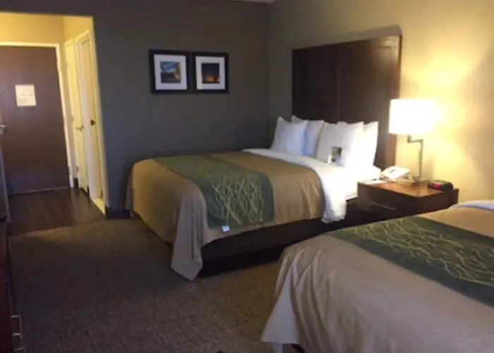 Comfort Hotel 3*