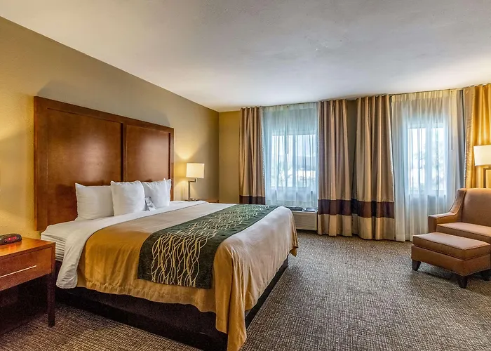 Comfort Hotel