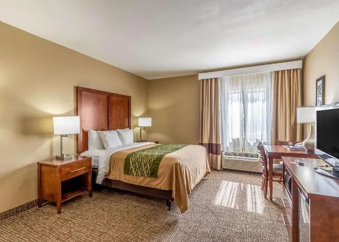 Hotel Comfort 3*