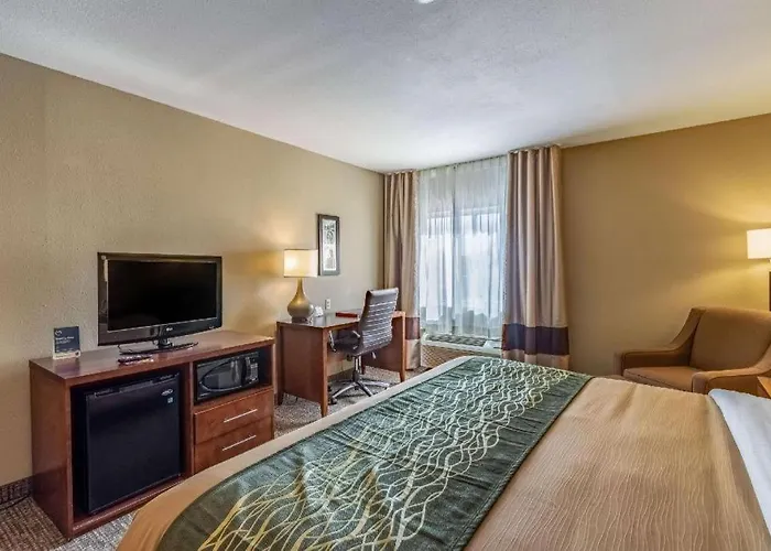 Hotel Comfort 3*