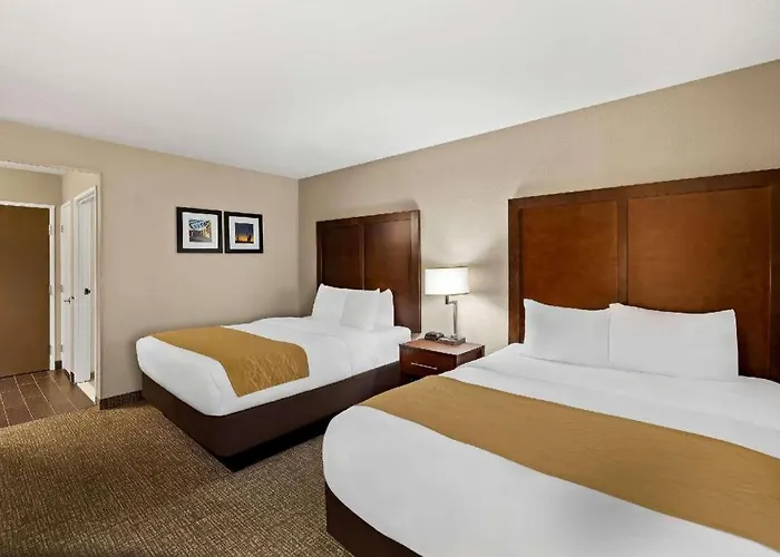 Comfort 3*